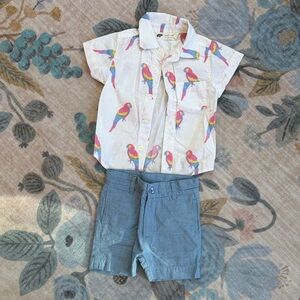 Monica and Andy Parrot print and blue short set  12-18 mo
